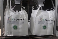 70,000 tons of rice granted “Low-emission Green Vietnamese Rice” label